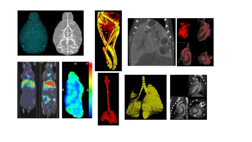 Advance Preclinical Imaging Lab_1