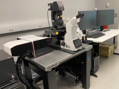 Leica Stellaris 8 tau-STED Super Resolution Microscope